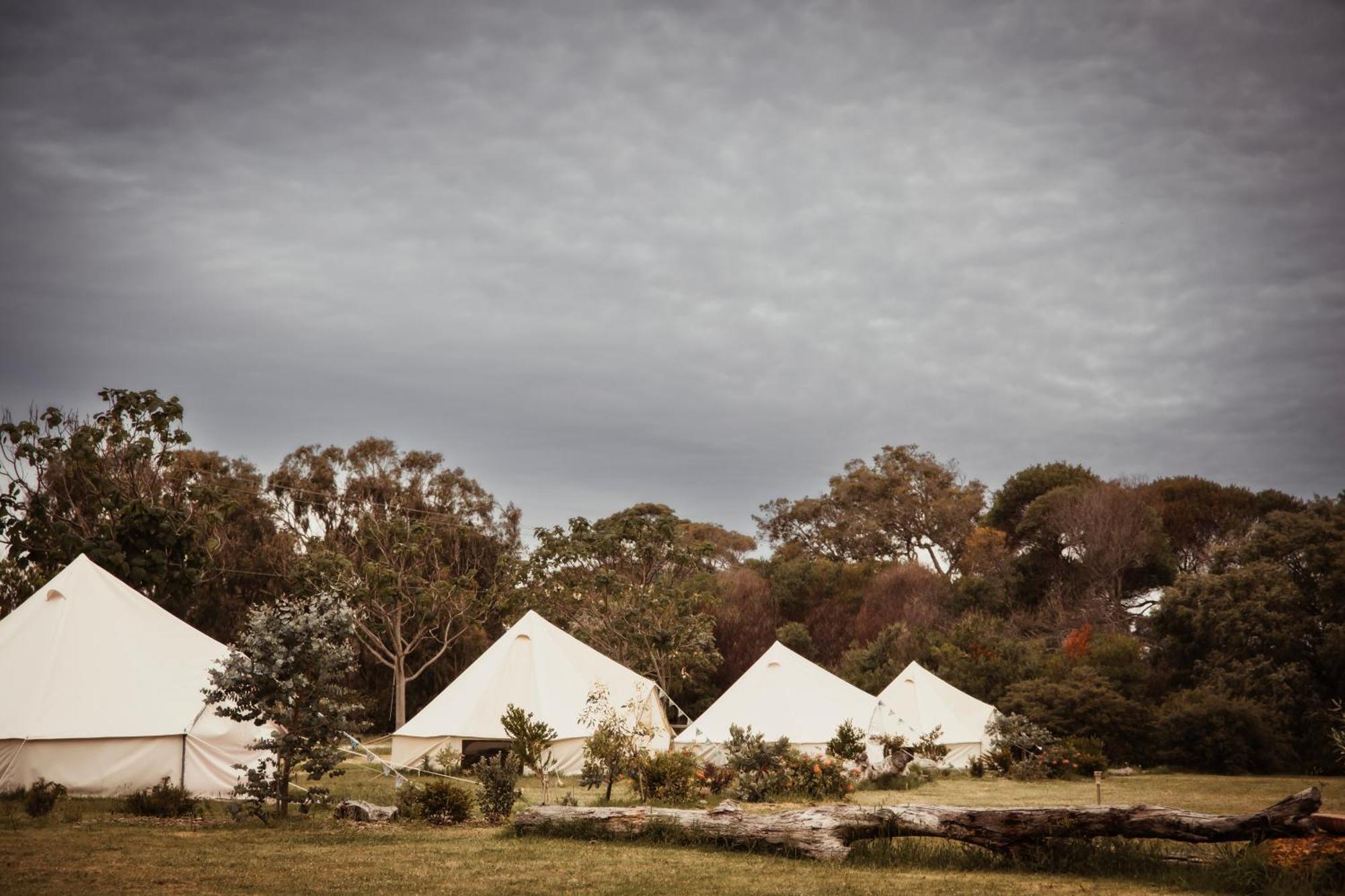 Boogaloo Surf&Yoga Campsite Augusta Exteriör bild